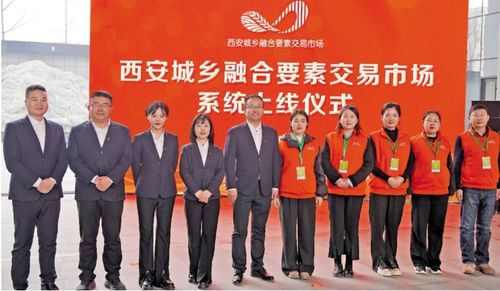 龙腾万里耀新春 古都再现秦农红，文化经纪人服务守护传统华章